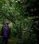 Dans l'Est de la France, une forêt à manger pour sauver la planète