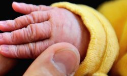 Bébés nés sans bras : la lanceuse d'alerte a été licenciée