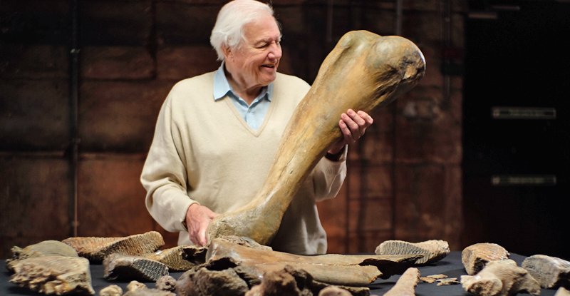 David Attenborough et le cimetière des mammouths